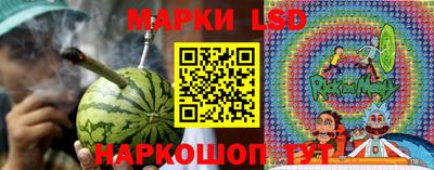 ПСИЛОЦИБИНОВЫЕ ГРИБЫ Ачхой-Мартан
