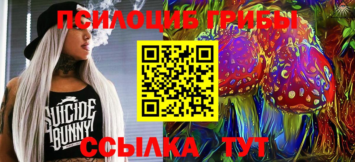 A PVP Архангельск